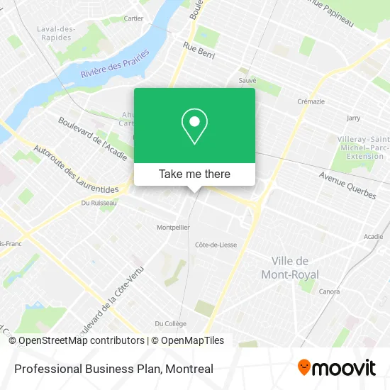 Professional Business Plan map
