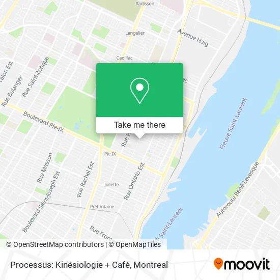 Processus: Kinésiologie + Café map