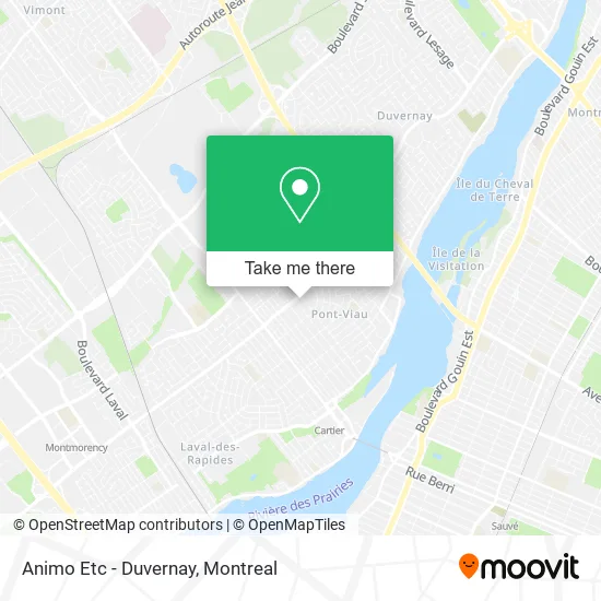Animo Etc - Duvernay map