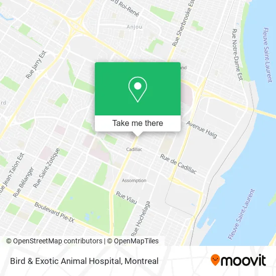 Bird & Exotic Animal Hospital map