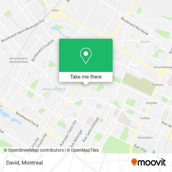 David map