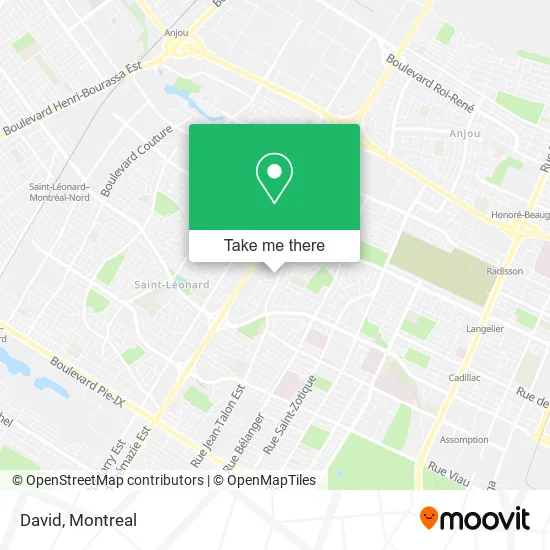 David map
