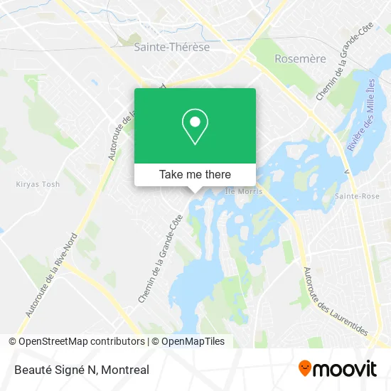 Beauté Signé N map