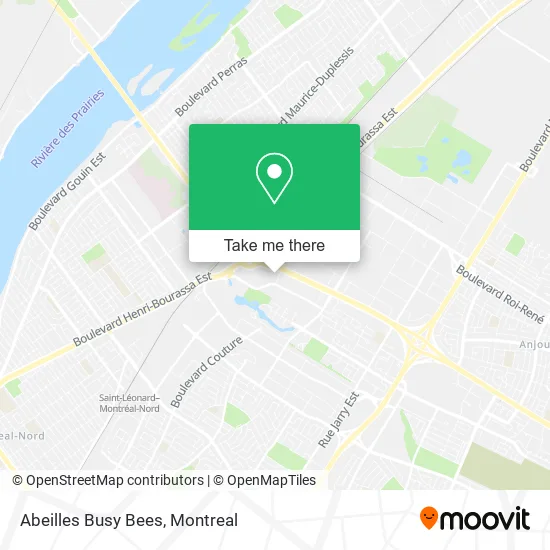 Abeilles Busy Bees map