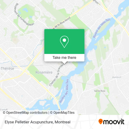 Elyse Pelletier Acupuncture map