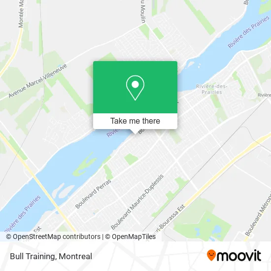 Bull Training map