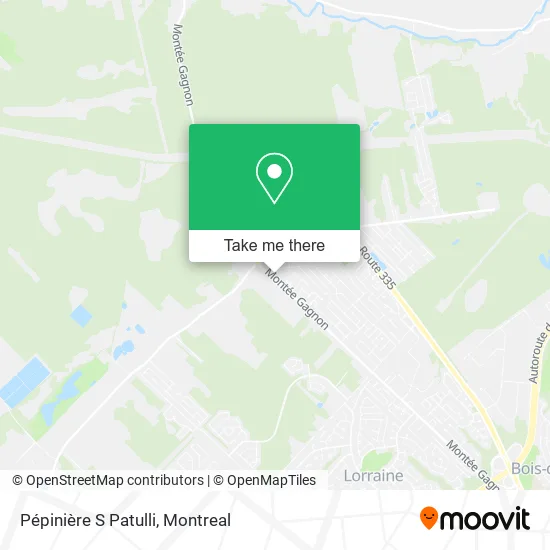 Pépinière S Patulli map