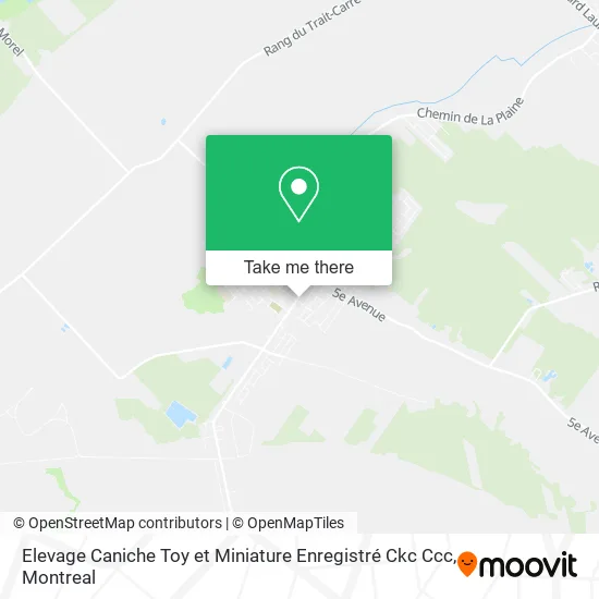 Elevage Caniche Toy et Miniature Enregistré Ckc Ccc map