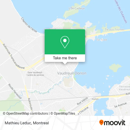 Mathieu Leduc map