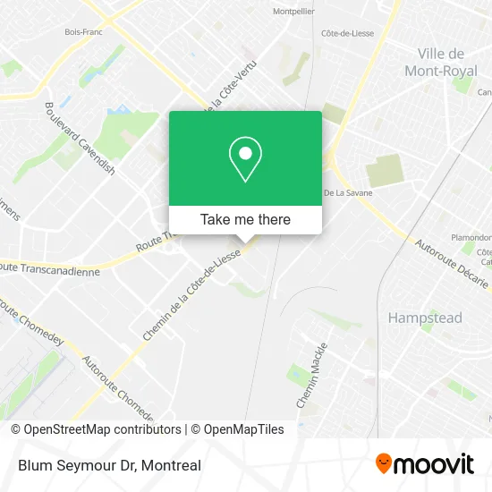 Blum Seymour Dr map