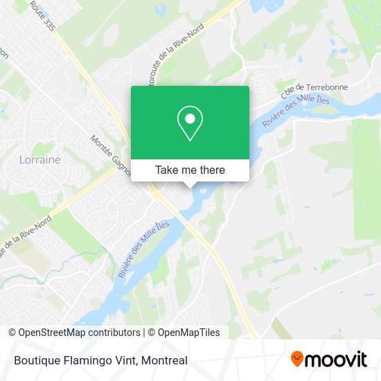 Boutique Flamingo Vint map