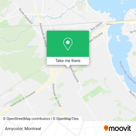 Amycolor map