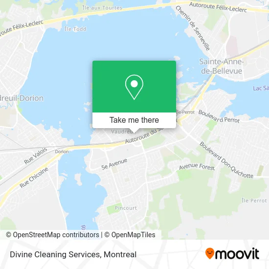 Divine Cleaning Services map