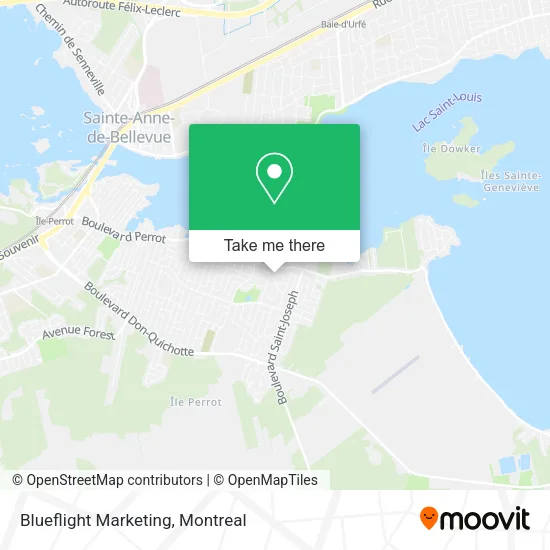 Blueflight Marketing map