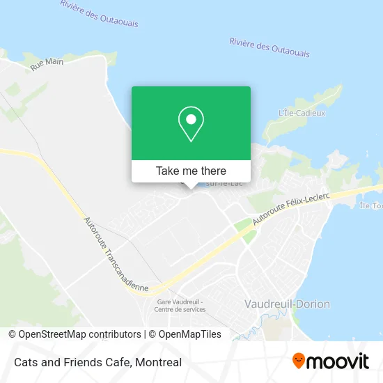 Cats and Friends Cafe map