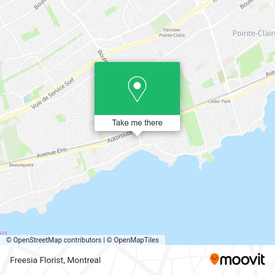 Freesia Florist map