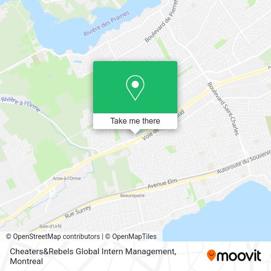 Cheaters&Rebels Global Intern Management map