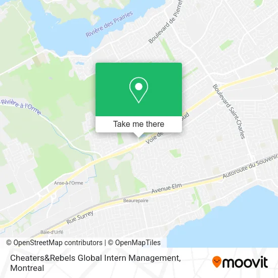 Cheaters&Rebels Global Intern Management map