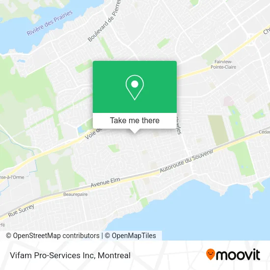 Vifam Pro-Services Inc map