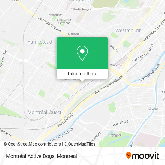 Montréal Active Dogs map