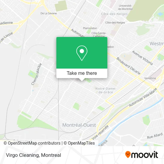 Virgo Cleaning map