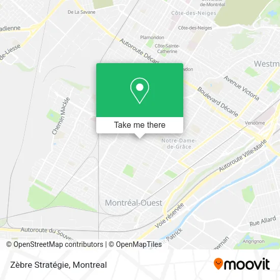 Zèbre Stratégie map