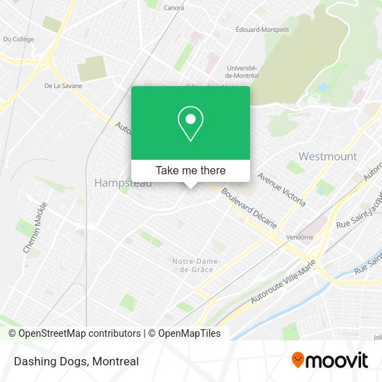 Dashing Dogs map