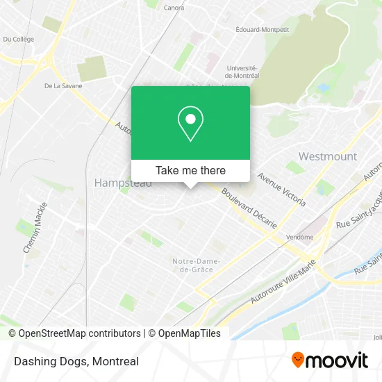 Dashing Dogs map