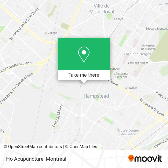 Ho Acupuncture map