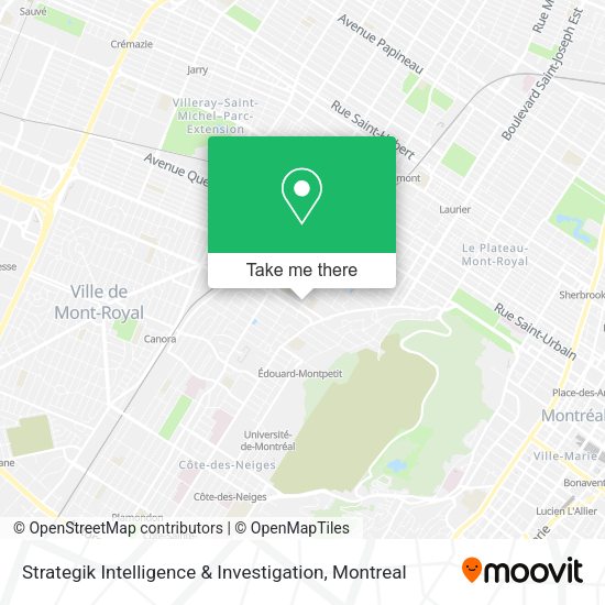 Strategik Intelligence & Investigation map