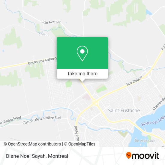 Diane Noel Sayah map