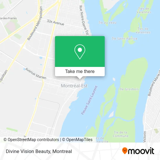 Divine Vision Beauty map