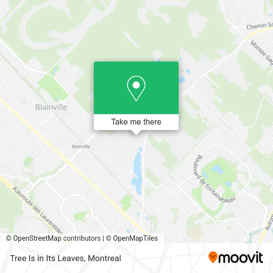 Tree Is in Its Leaves map
