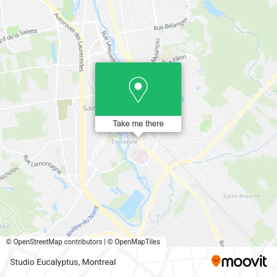 Studio Eucalyptus map