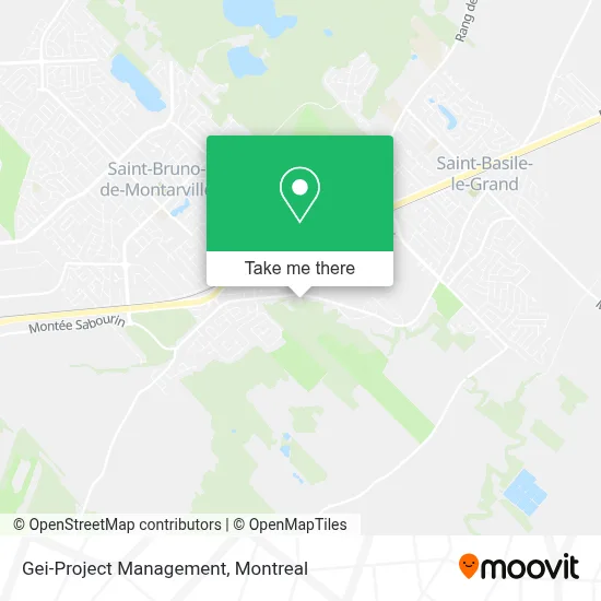 Gei-Project Management map