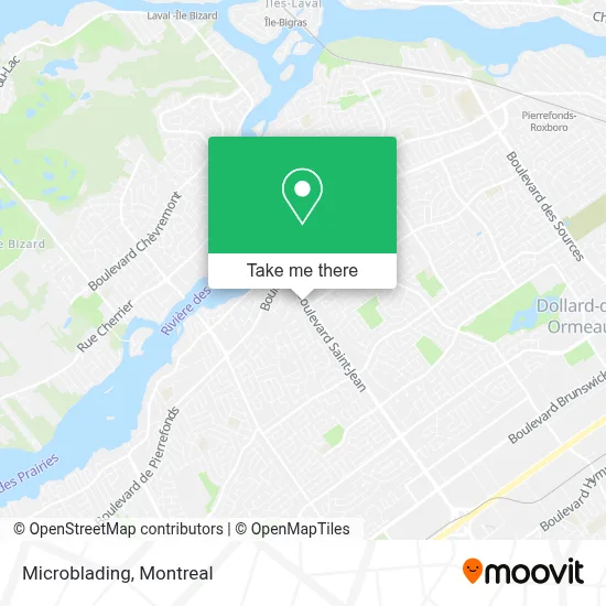 Microblading map