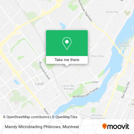 Mandy Microblading Phibrows map