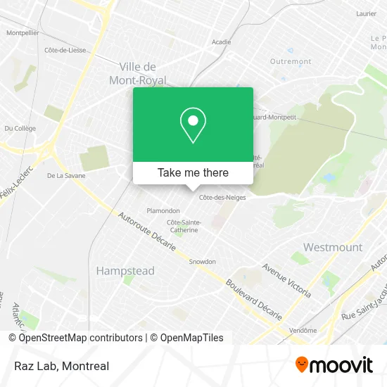 Raz Lab map