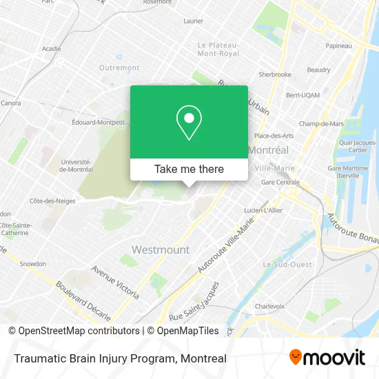 Traumatic Brain Injury Program map