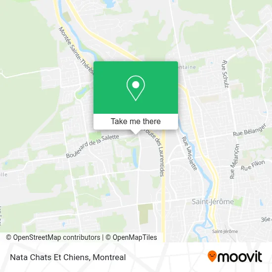 Nata Chats Et Chiens map