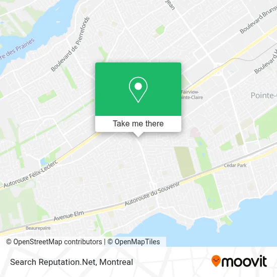 Search Reputation.Net map