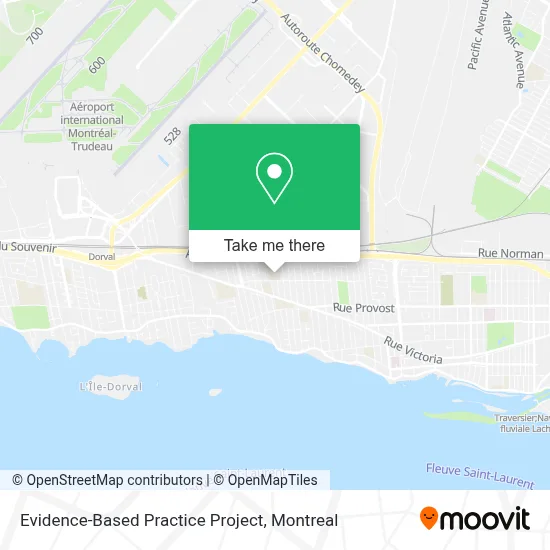 Evidence-Based Practice Project map