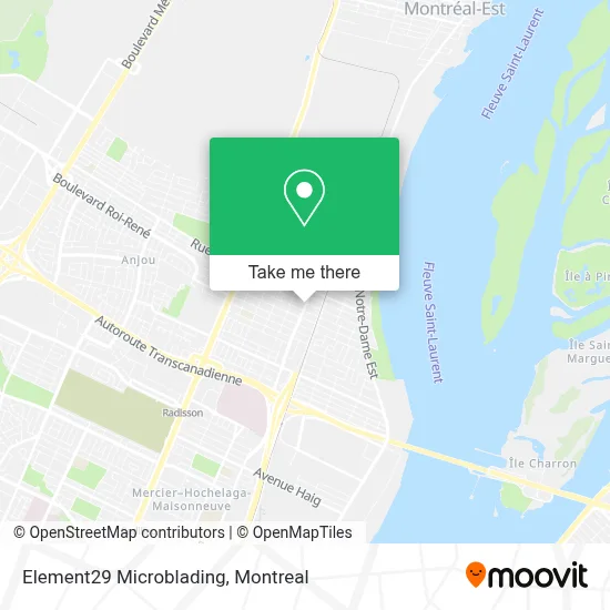 Element29 Microblading map
