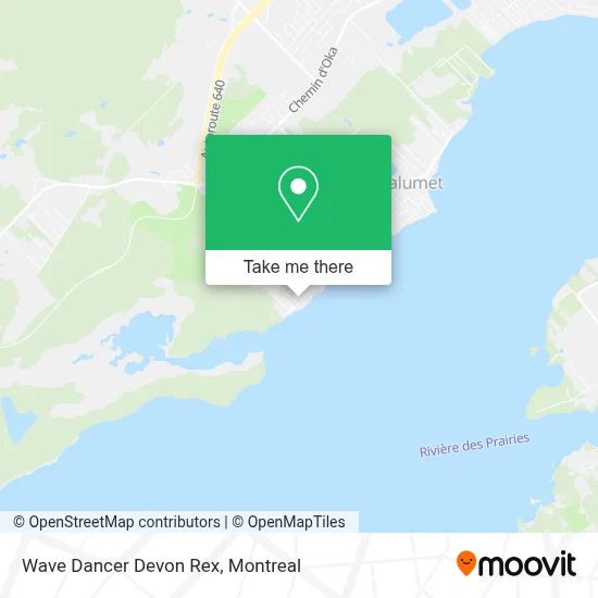 Wave Dancer Devon Rex map