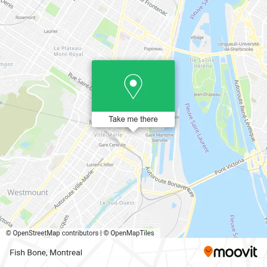 Fish Bone map