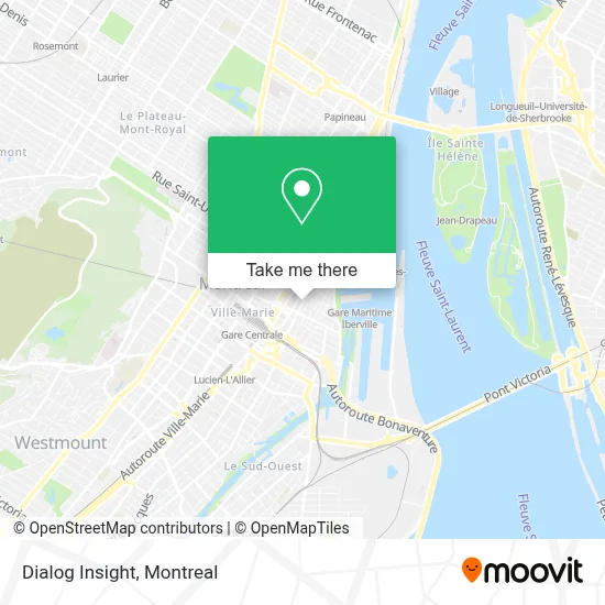 Dialog Insight map
