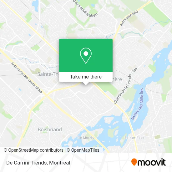 De Carrini Trends map