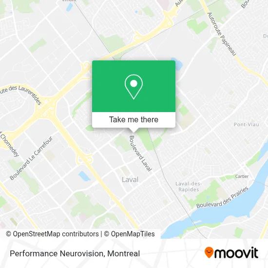 Performance Neurovision map