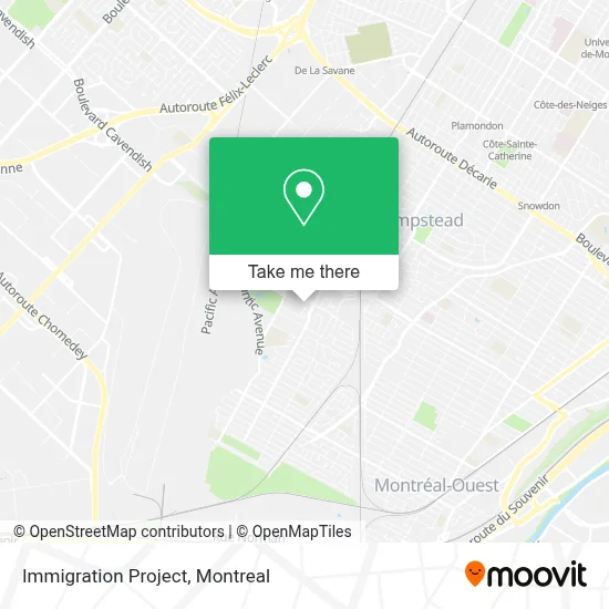 Immigration Project map