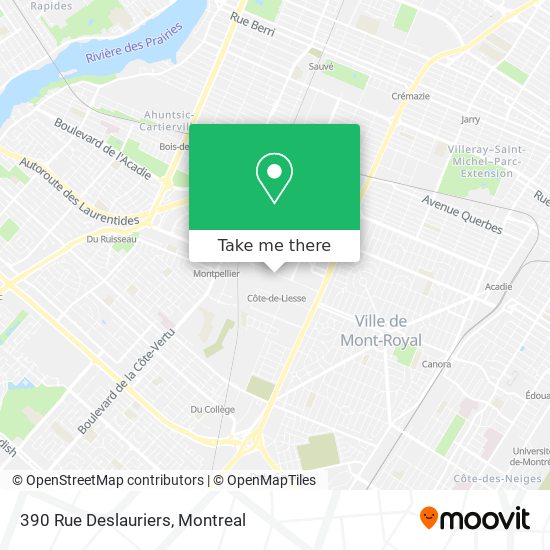 390 Rue Deslauriers map